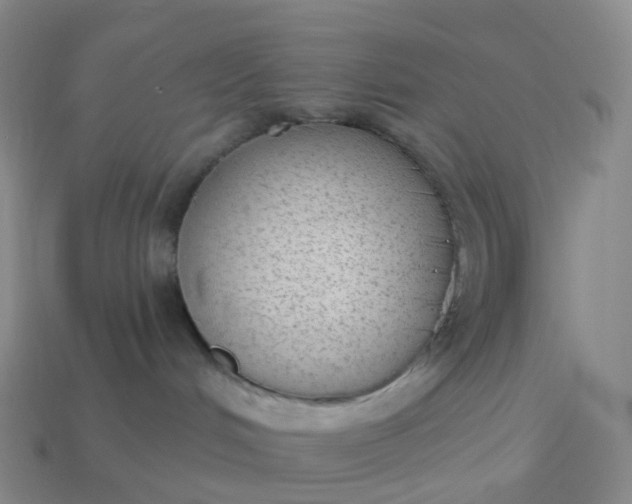 X0000113900048200910081838