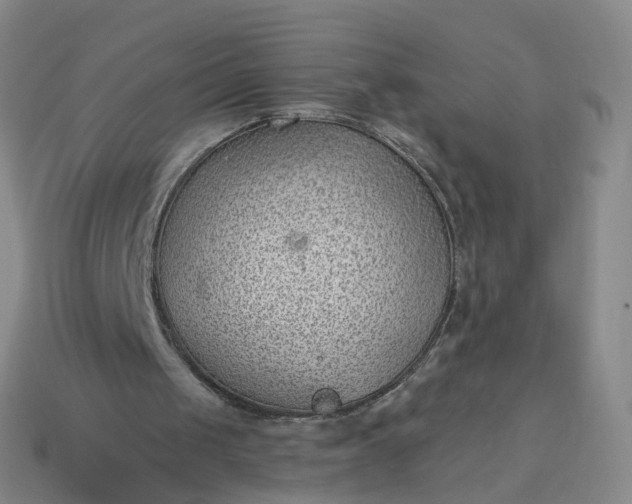 X0000113900049200910081837