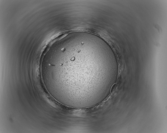 X0000113900050200910081837