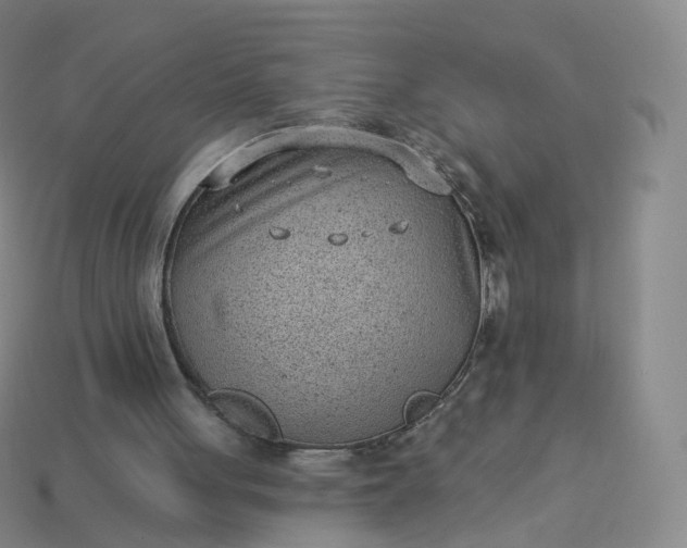 X0000113900051200910081837