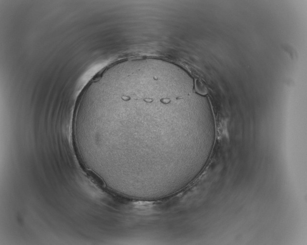 X0000113900052200910081837