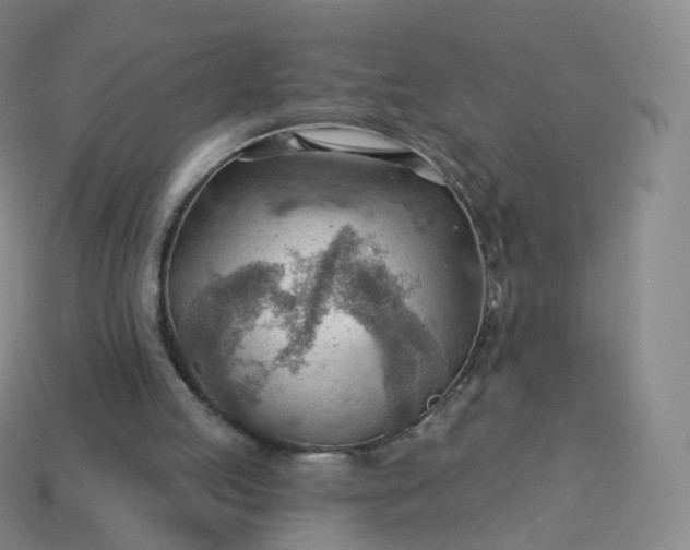 X0000113900053200910081837