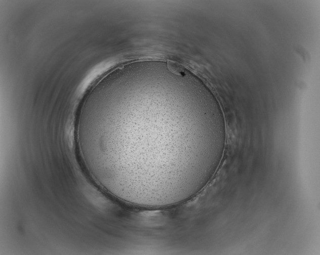 X0000113900054200910081837