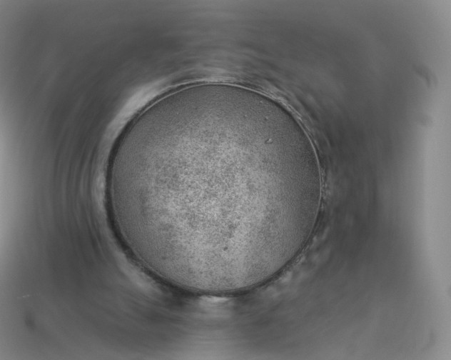 X0000113900055200910081837