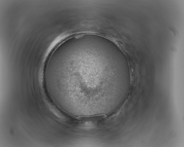 X0000113900056200910081837