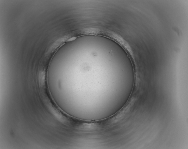 X0000113900057200910081837