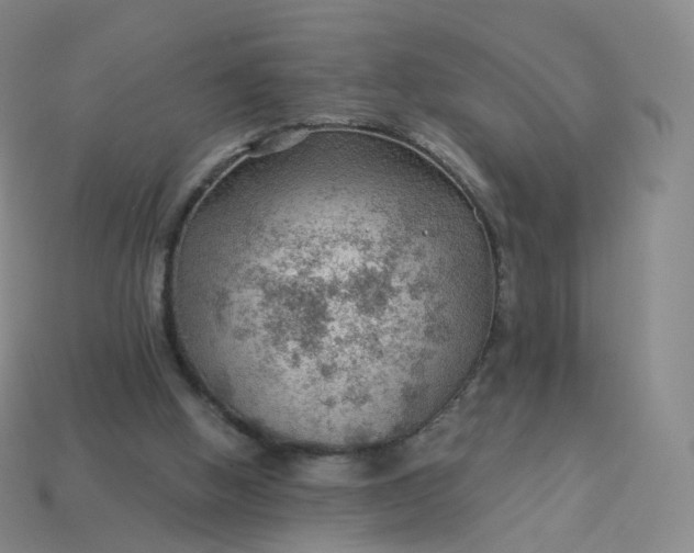 X0000113900058200910081837