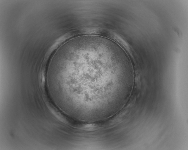 X0000113900059200910081837