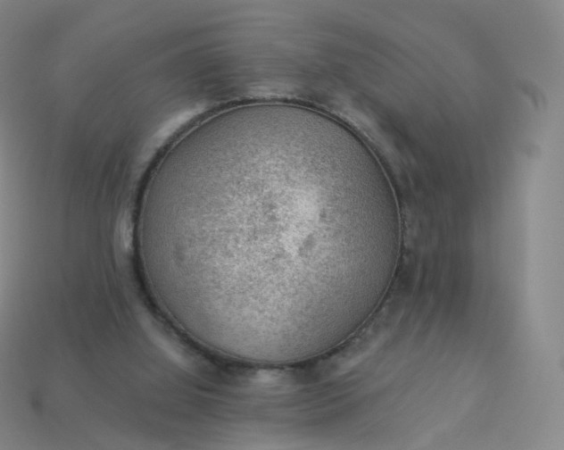 X0000113900060200910081837