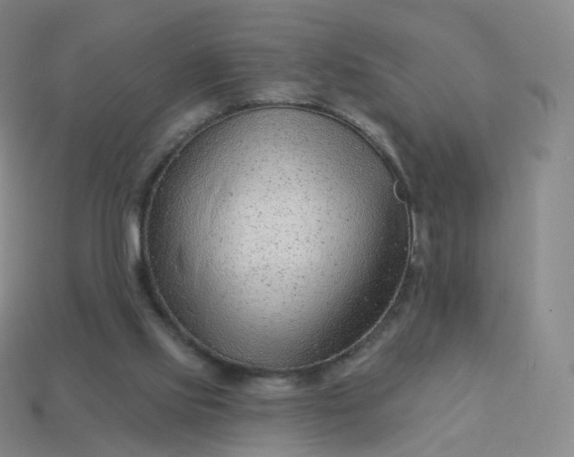 X0000113900061200910081837