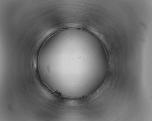 X0000113900062200910081837