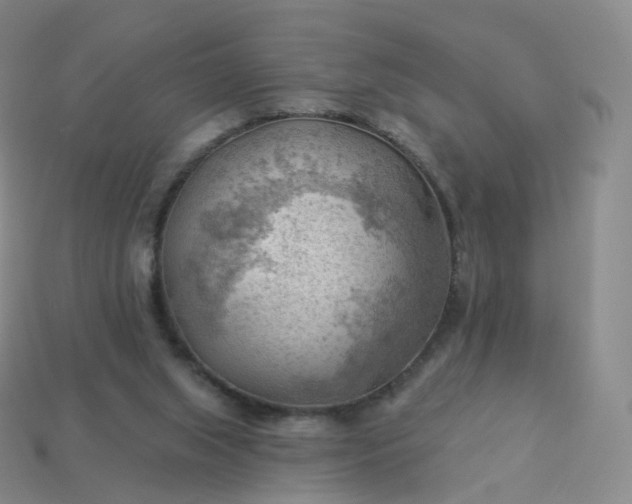 X0000113900063200910081837