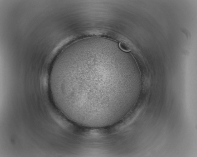 X0000113900064200910081837