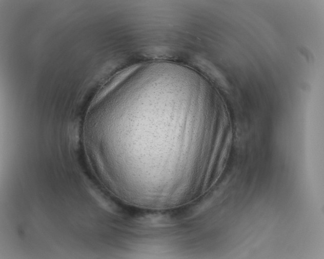 X0000113900065200910081837