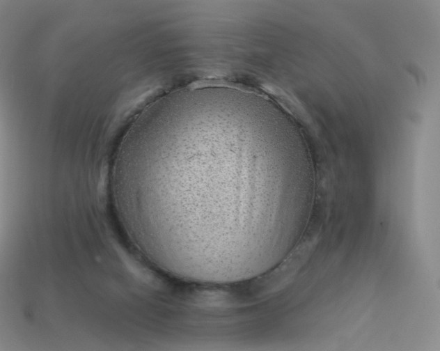 X0000113900066200910081837