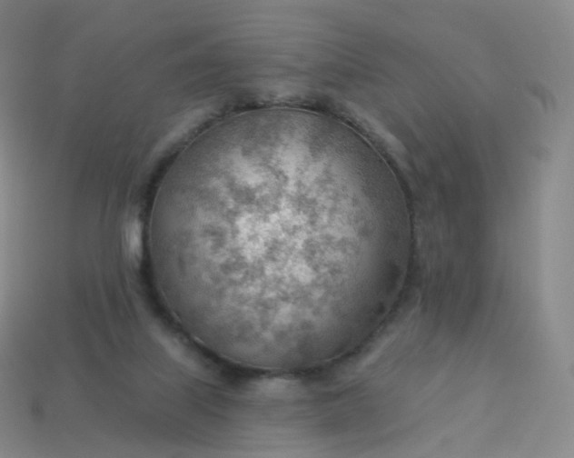 X0000113900067200910081837