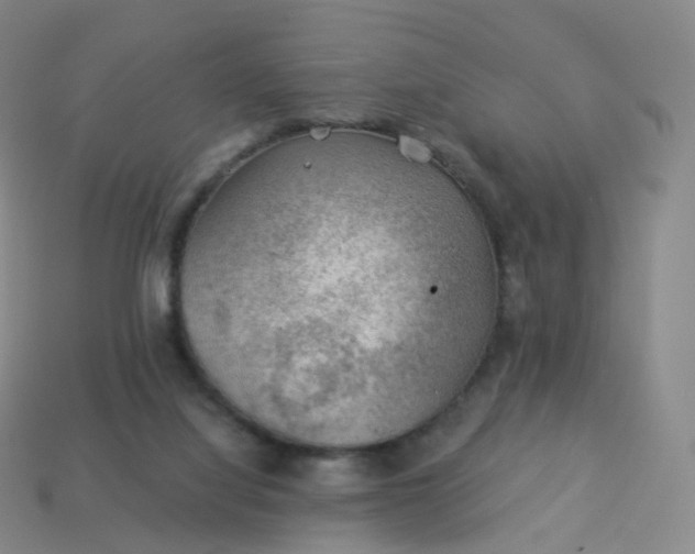 X0000113900068200910081837