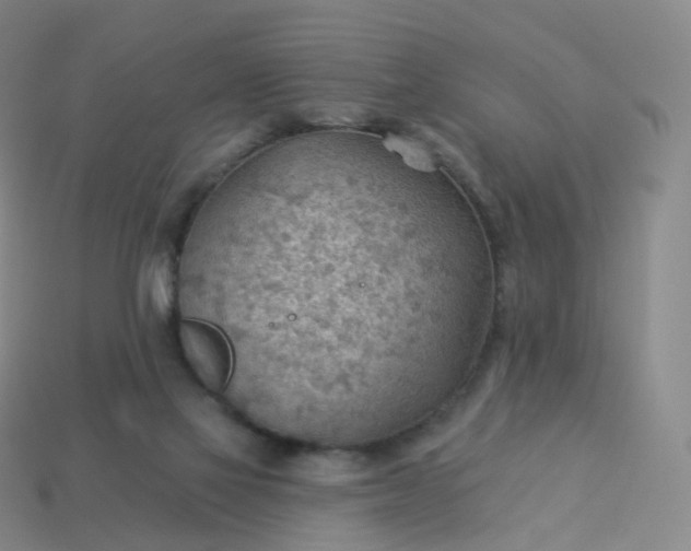 X0000113900069200910081837