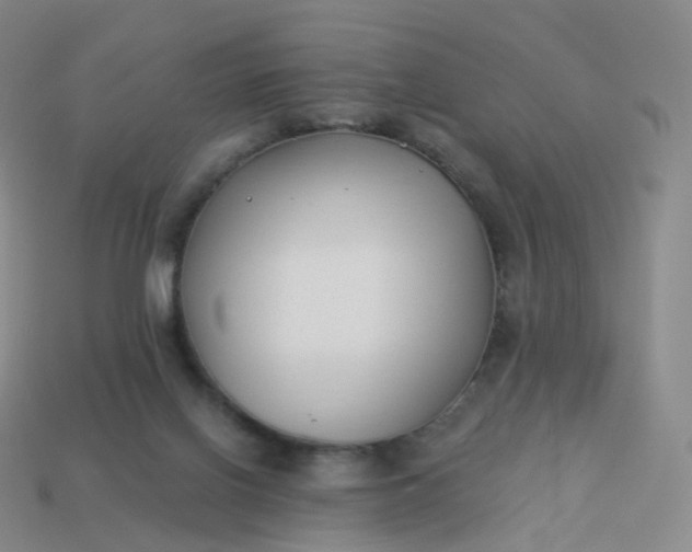 X0000113900070200910081837