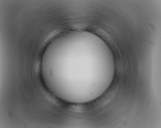 X0000113900071200910081838