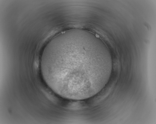 X0000113900072200910081838