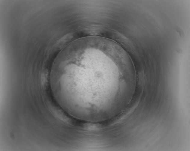 X0000113900073200910081838