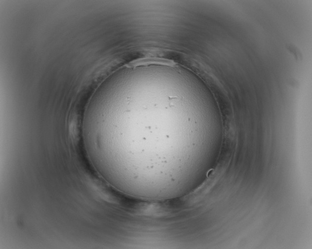 X0000113900074200910081838