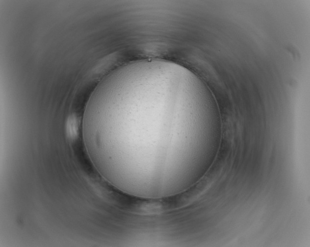 X0000113900075200910081838