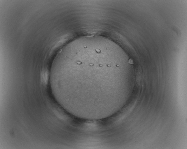 X0000113900076200910081838