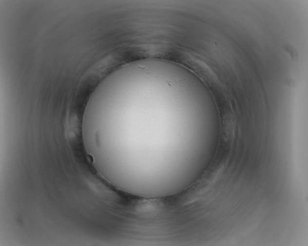 X0000113900077200910081838