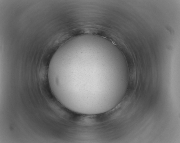 X0000113900078200910081838