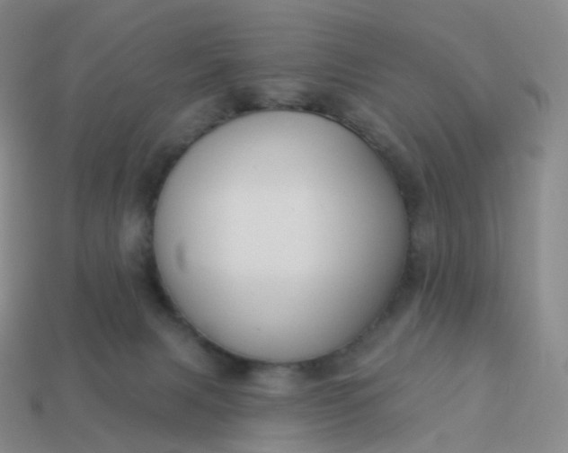 X0000113900079200910081838