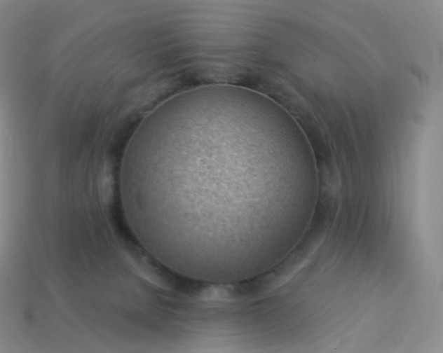 X0000113900080200910081838