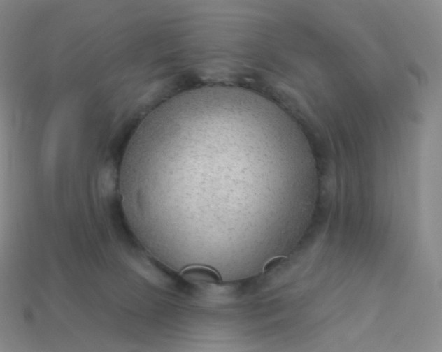 X0000113900081200910081838