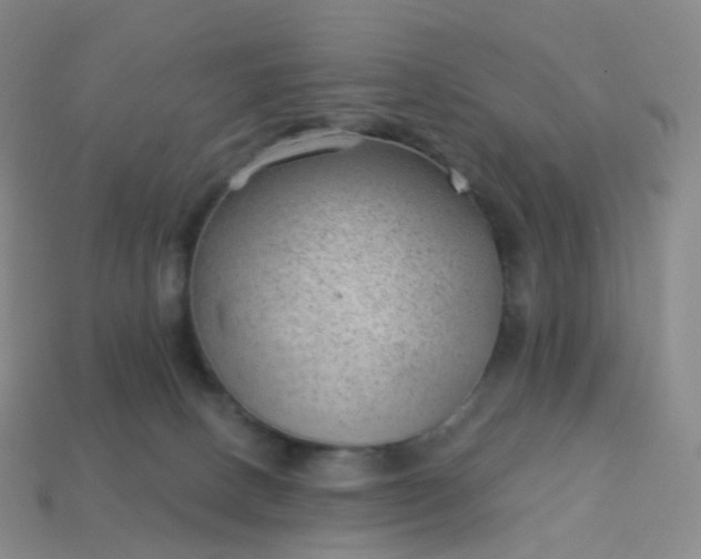 X0000113900082200910081838