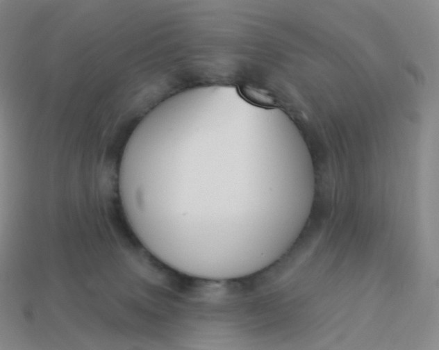 X0000113900083200910081838