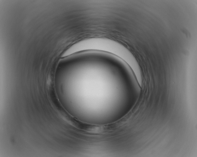 X0000113900084200910081838