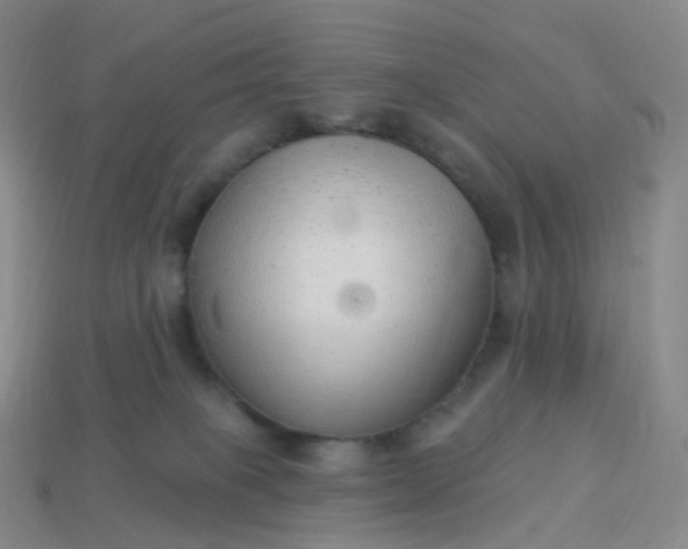 X0000113900085200910081838