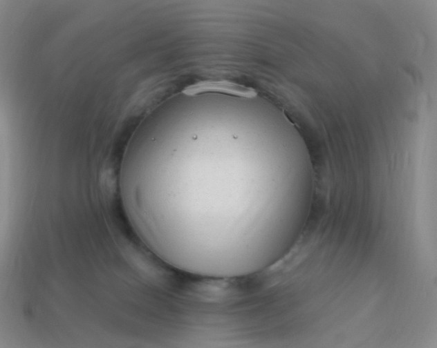 X0000113900086200910081838