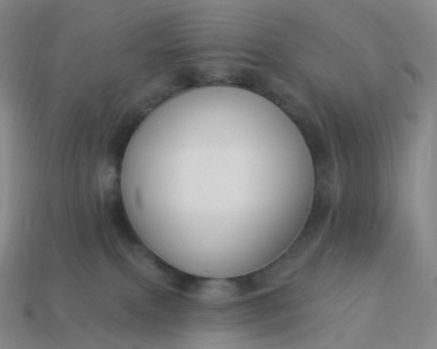 X0000113900087200910081838