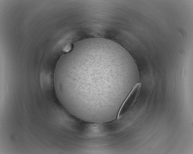 X0000113900088200910081838