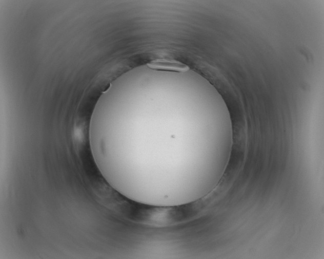 X0000113900090200910081838