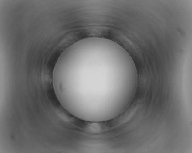 X0000113900091200910081838