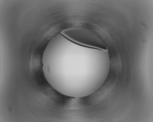 X0000113900092200910081838