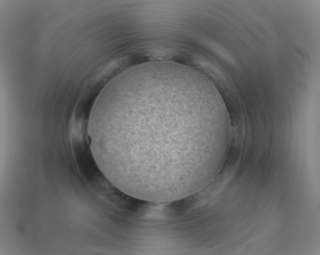 X0000113900093200910081838