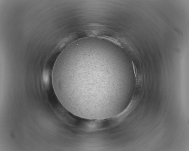 X0000113900094200910081838