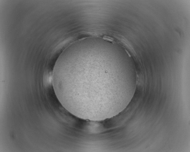 X0000113900095200910081838