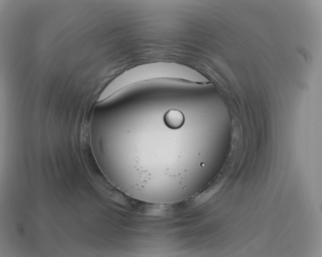 X0000113900096200910081838