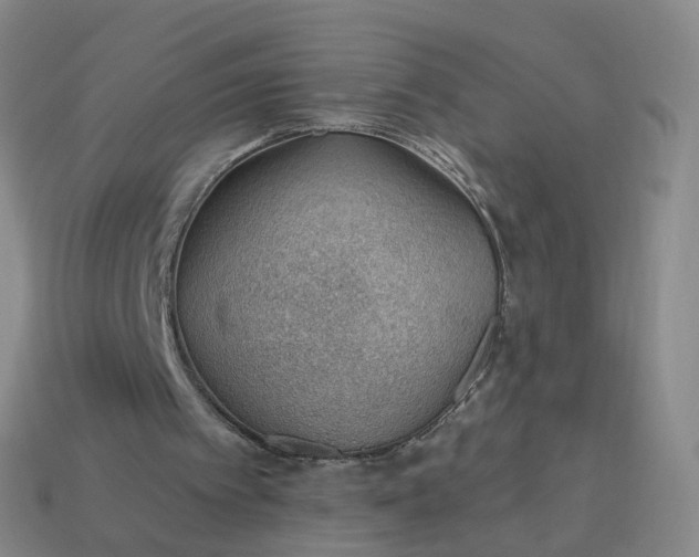 X0000113900097200910081837