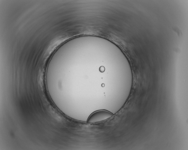 X0000113900098200910081837